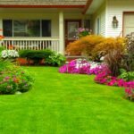 The Secret to Perfect Lighting: How to Brighten Your Home Naturally